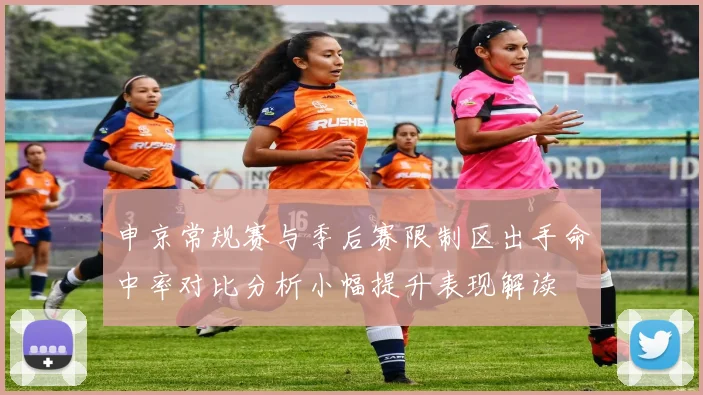 申京常规赛与季后赛限制区出手命中率对比分析小幅提升表现解读